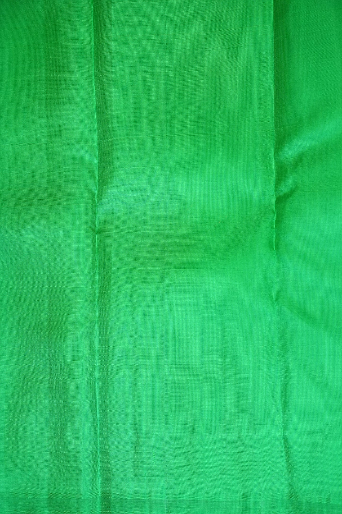 Deep Red & Parrot Green Borderless Pure Kanchivaram Silk Saree|Silk Mark Certified.