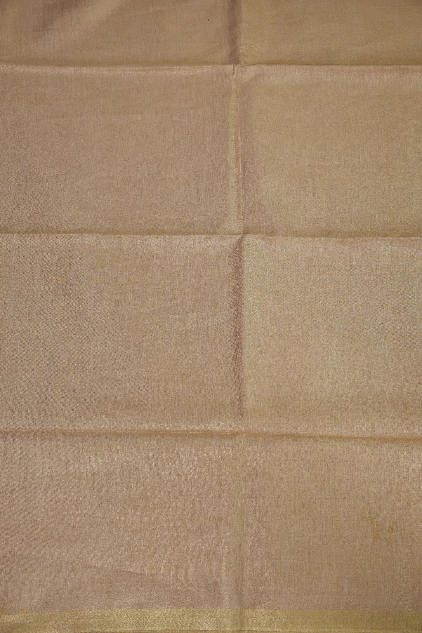 Champagne Beige & Soft Gold Tissue Linen Saree