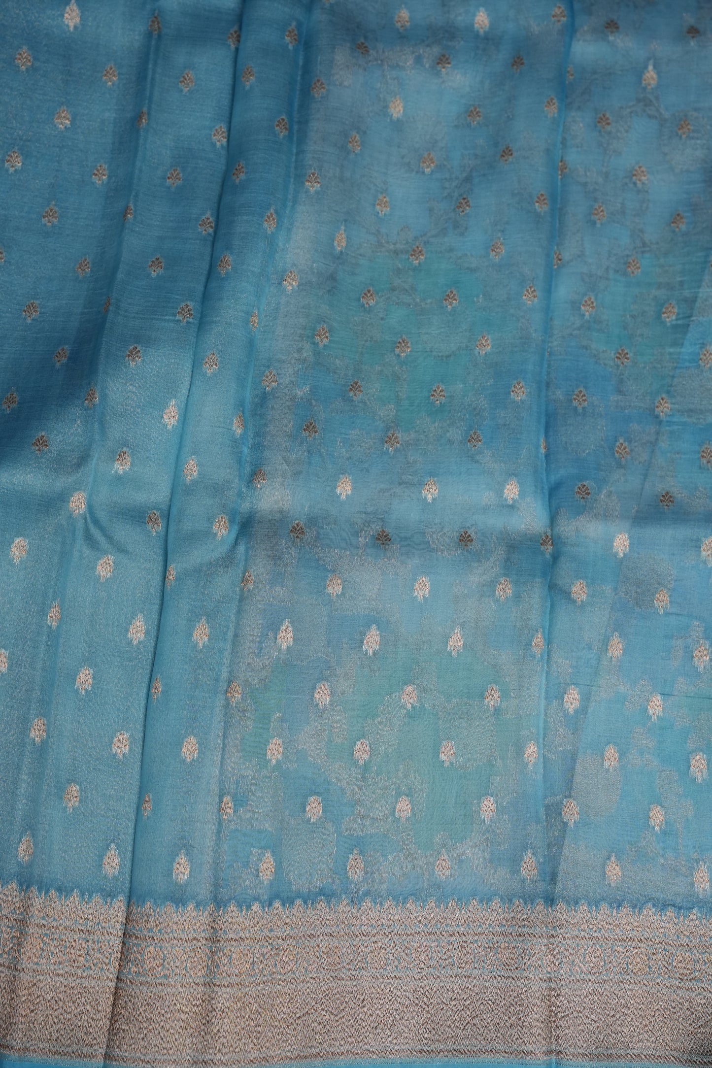 Pure Kora Banarasi Silk Saree with Floral Jaal Weaving β Sky Blue & Mint Green