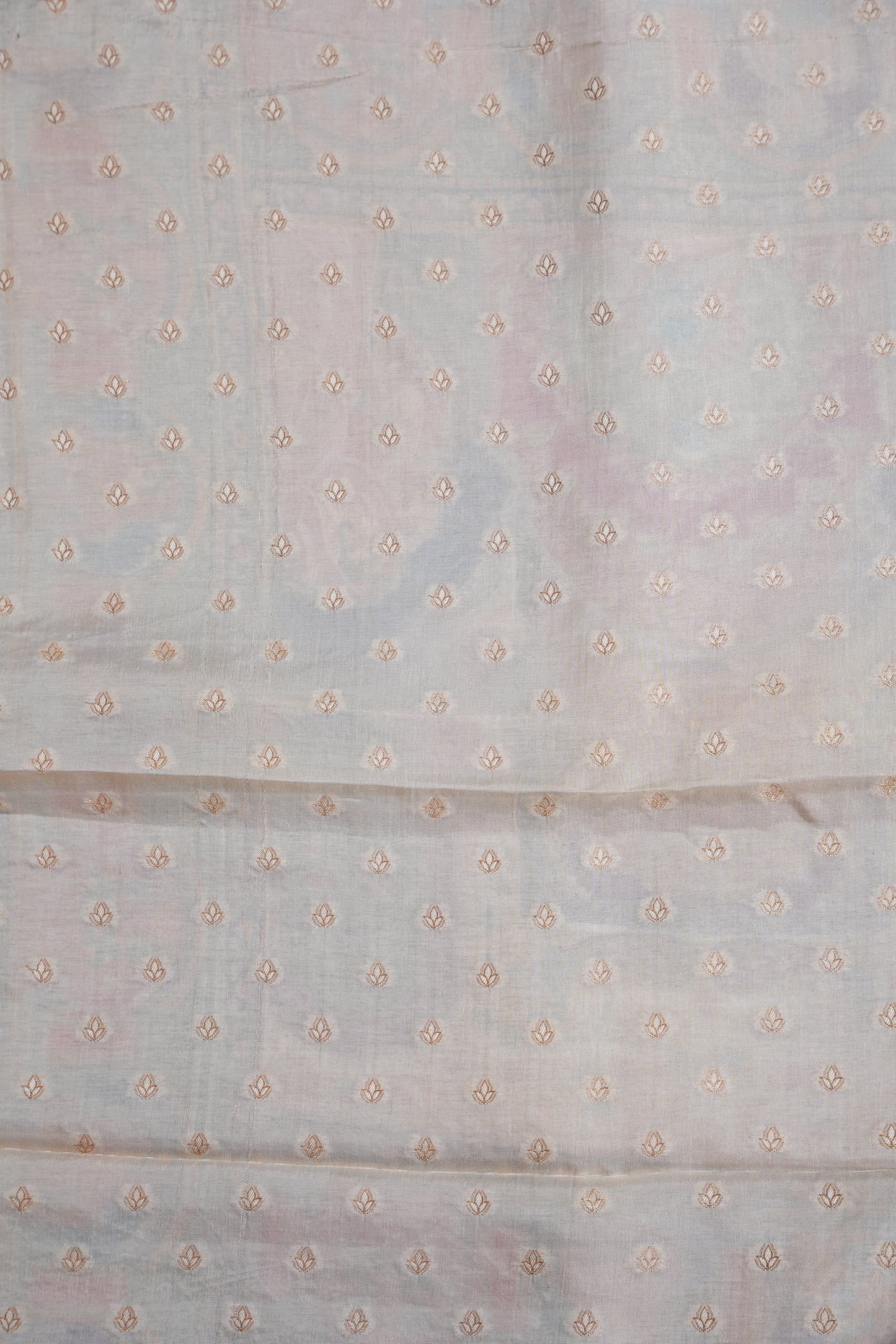 Kashmiri Pashmina Story Telling Saree - Ivory