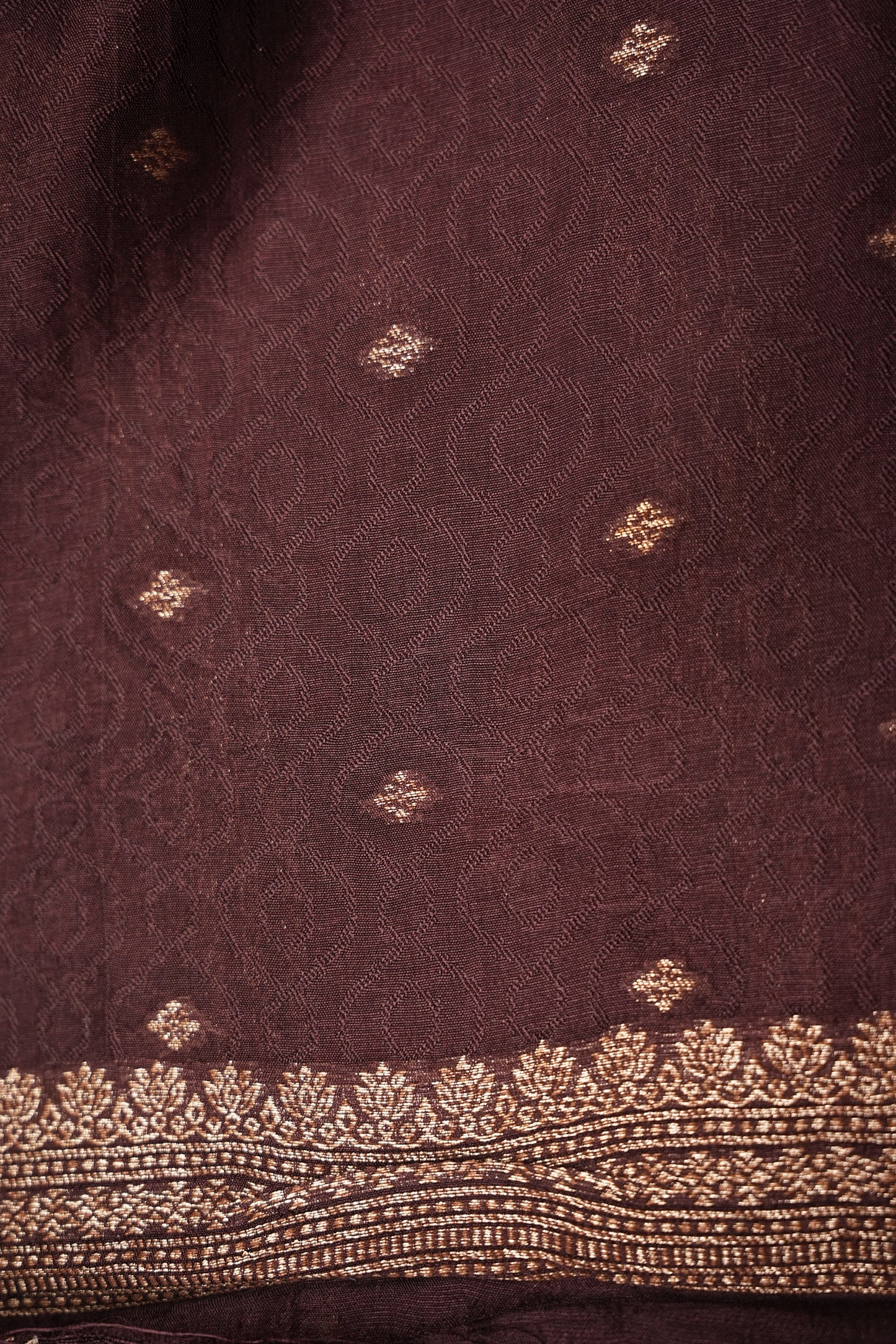 Tussar Banarasi Raw Silk Saree with Handloom Peacock Border – Coffee Brown