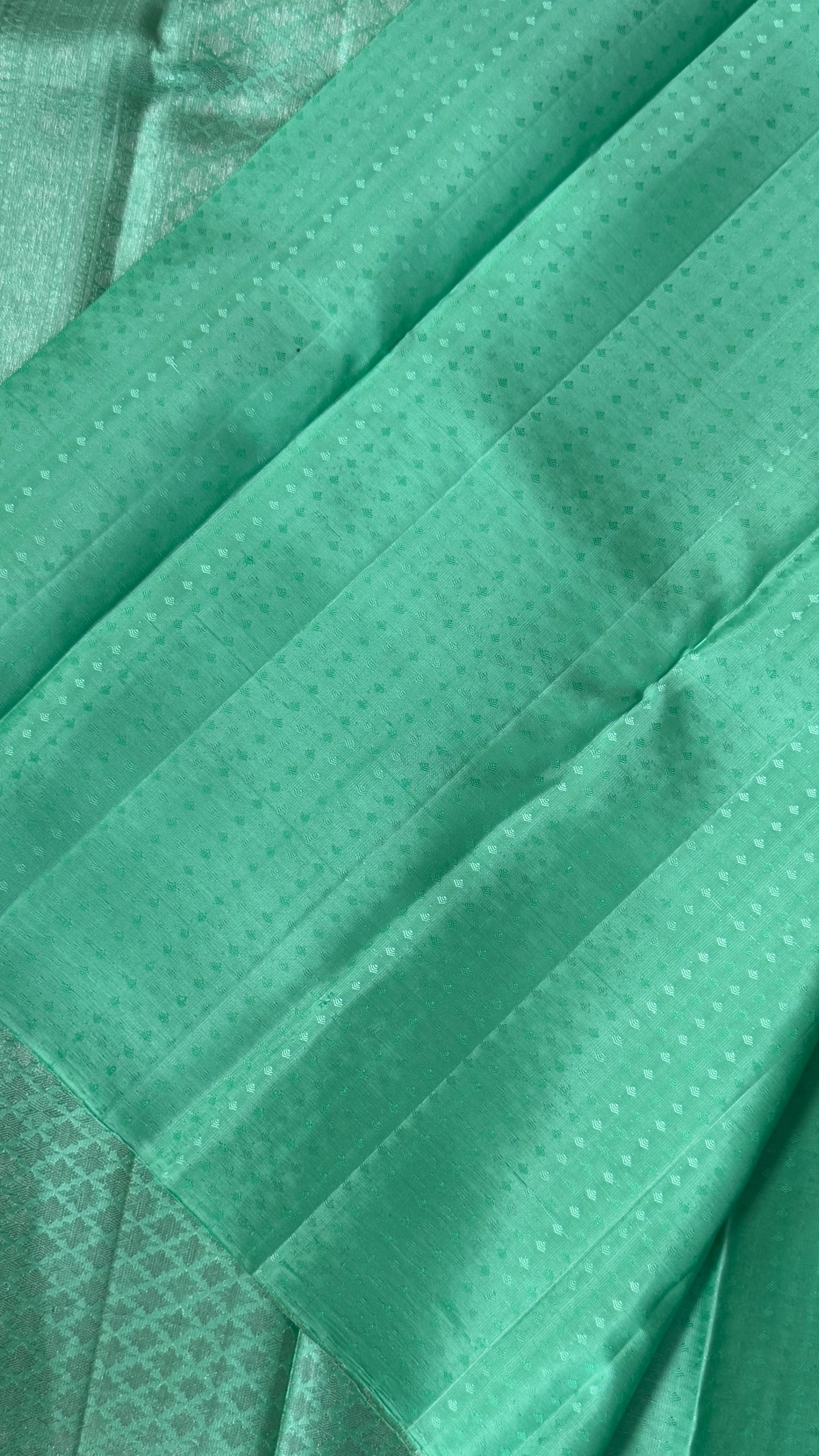 Mint Green & Sea Green Pure Kanchipuram Silk Saree | Silk Mark Certified