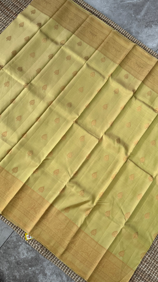 Champagne Pure Kanchipuram Silk Saree | Silk Mark Certified
