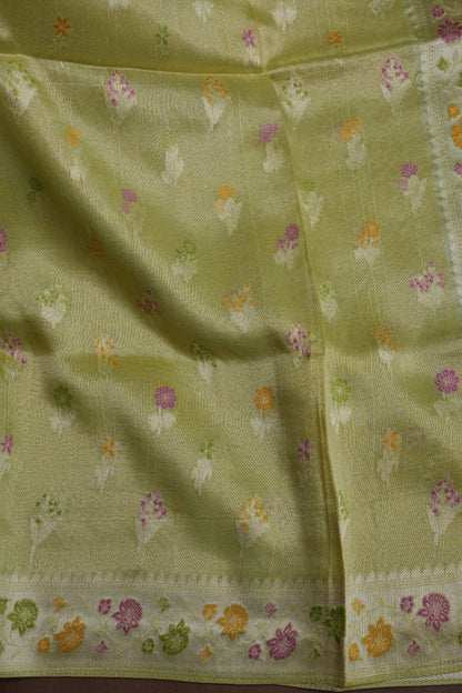 Mellow Tissue Pastel Green Saree with Banarasi Silver Weaving & Paithani Borders