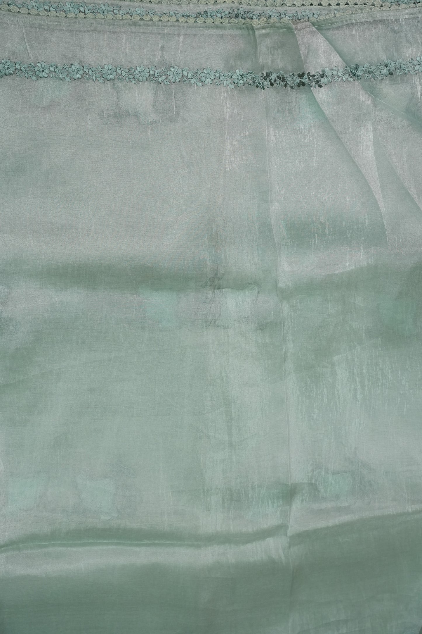 Soft Organza Saree with Floral Embroidery - Powder Blue