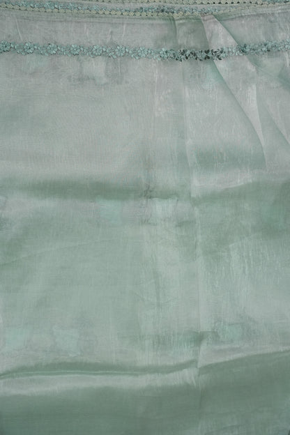 Soft Organza Saree with Floral Embroidery - Powder Blue