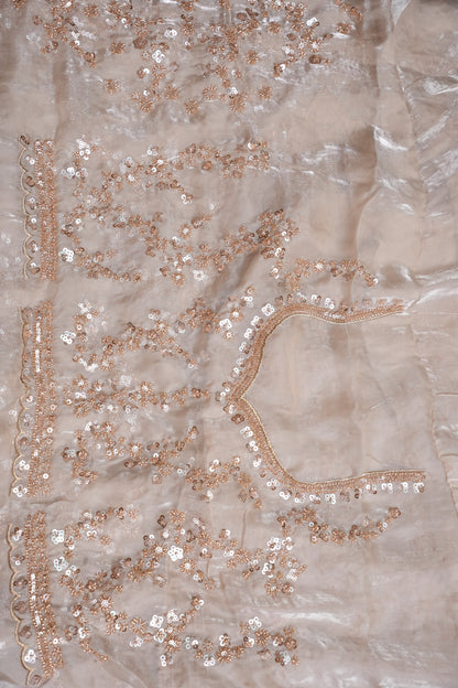 Champagne Blush Sequin Embroidered Party Wear Saree|Subarnam's Exclusive