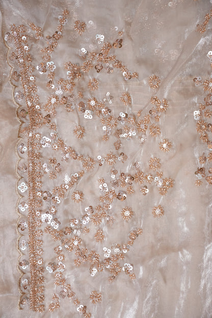 Champagne Blush Sequin Embroidered Party Wear Saree|Subarnam's Exclusive