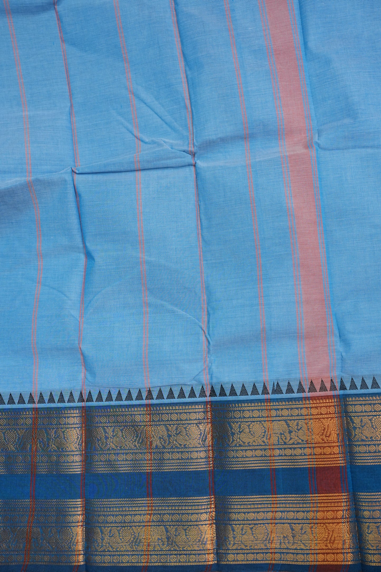 Kanchi Cotton Sarees - Baby Blue