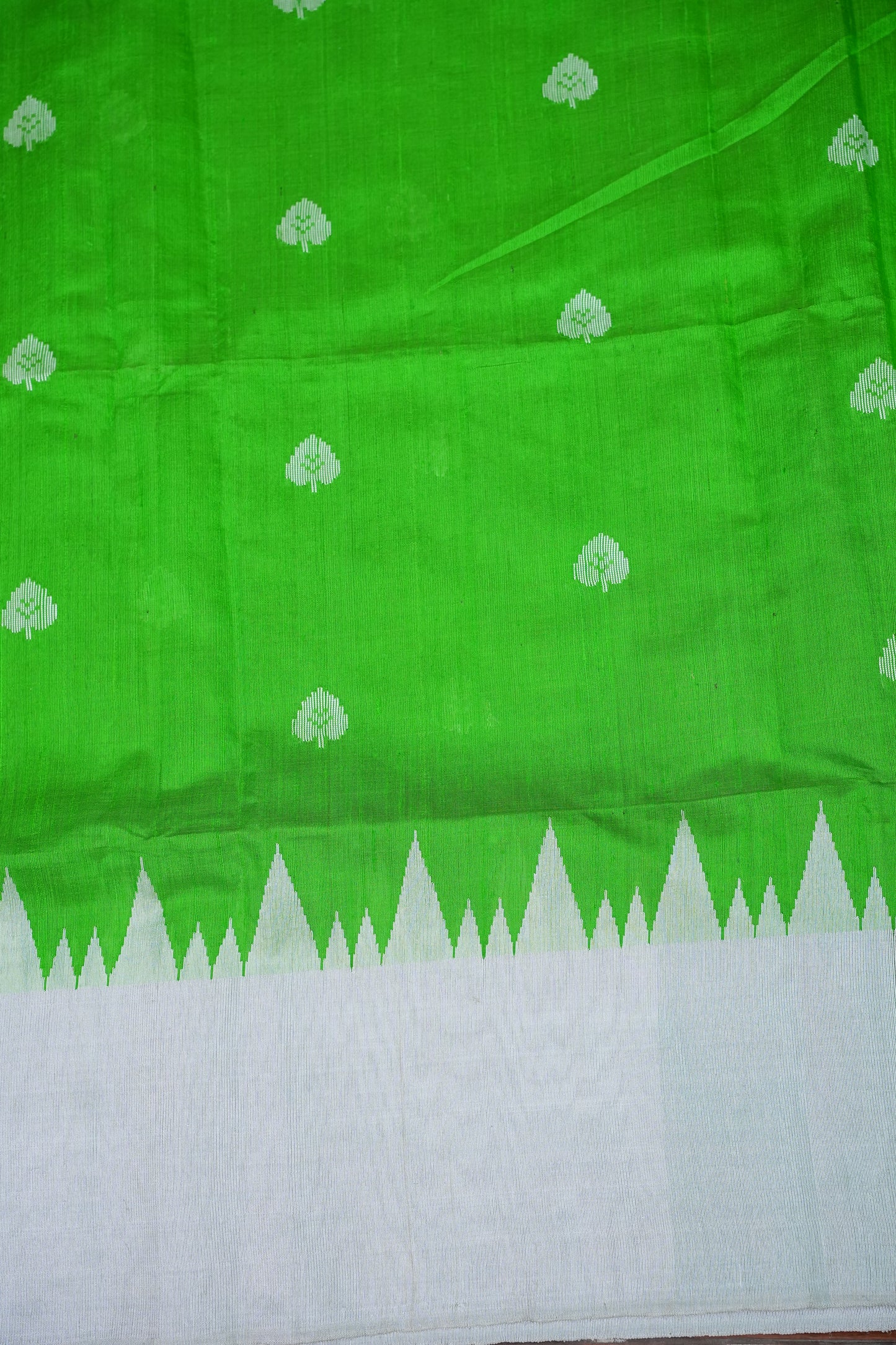 Pure Raw Silk Saree – Green & White