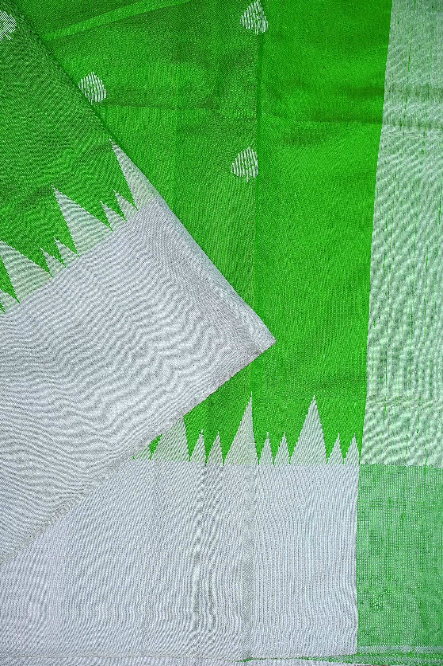 Pure Raw Silk Saree – Green & White
