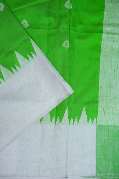 Pure Raw Silk Saree – Green & White