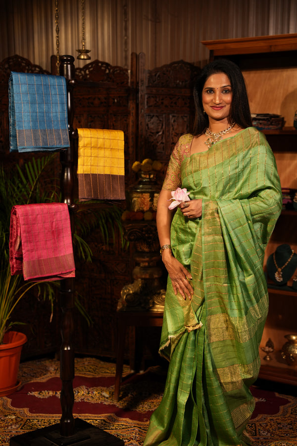 Tussar & Raw Silks