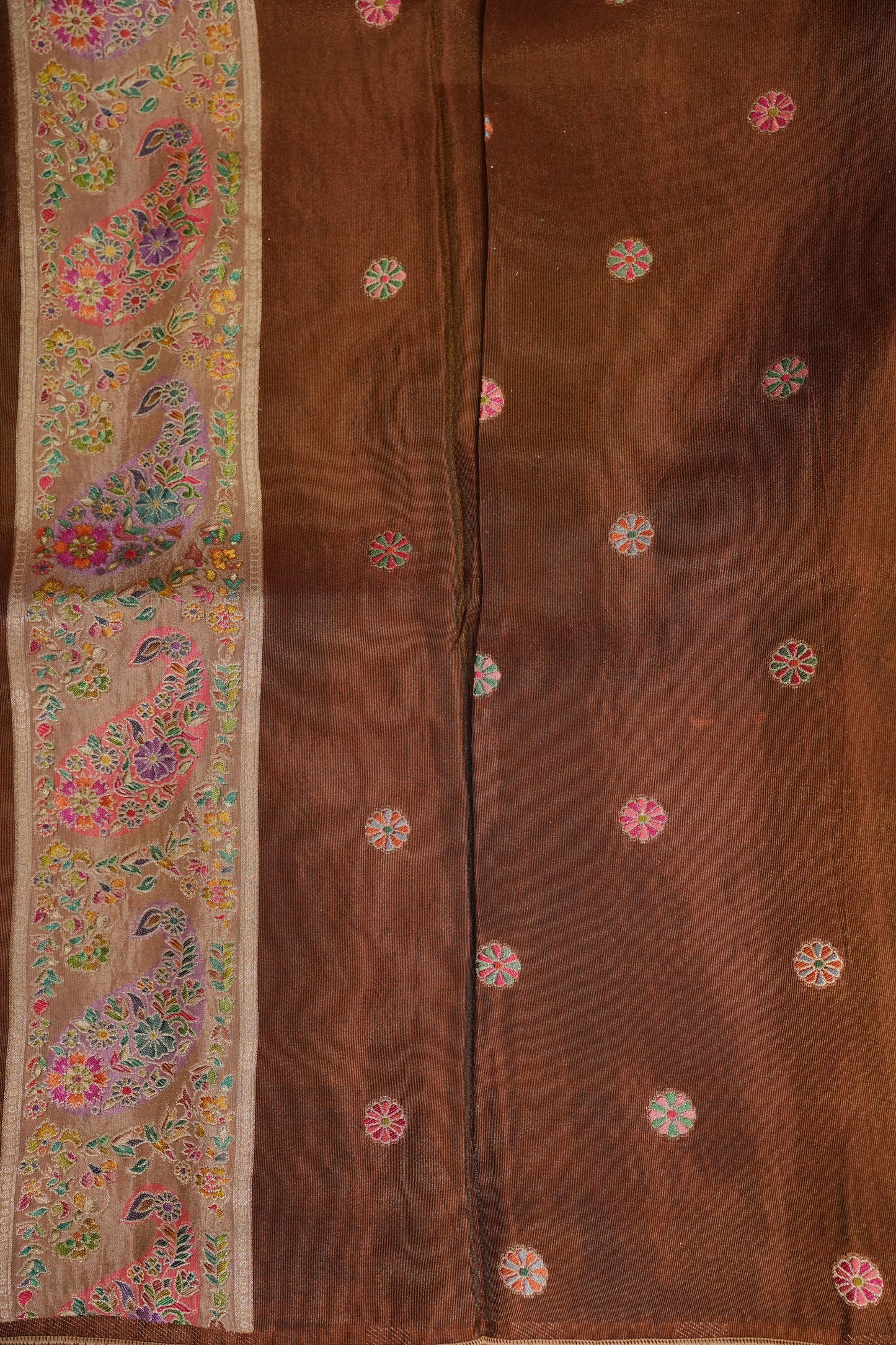 Kashmiri Pashmina Mellow Tissue Saree - Antique Gold Beige
