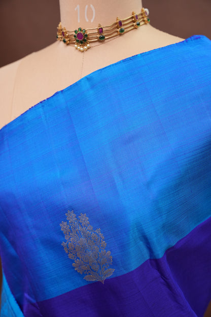 Royal Blue with Contrast Border Pure Kanchipuram Silk Saree|Silk Mark Certified