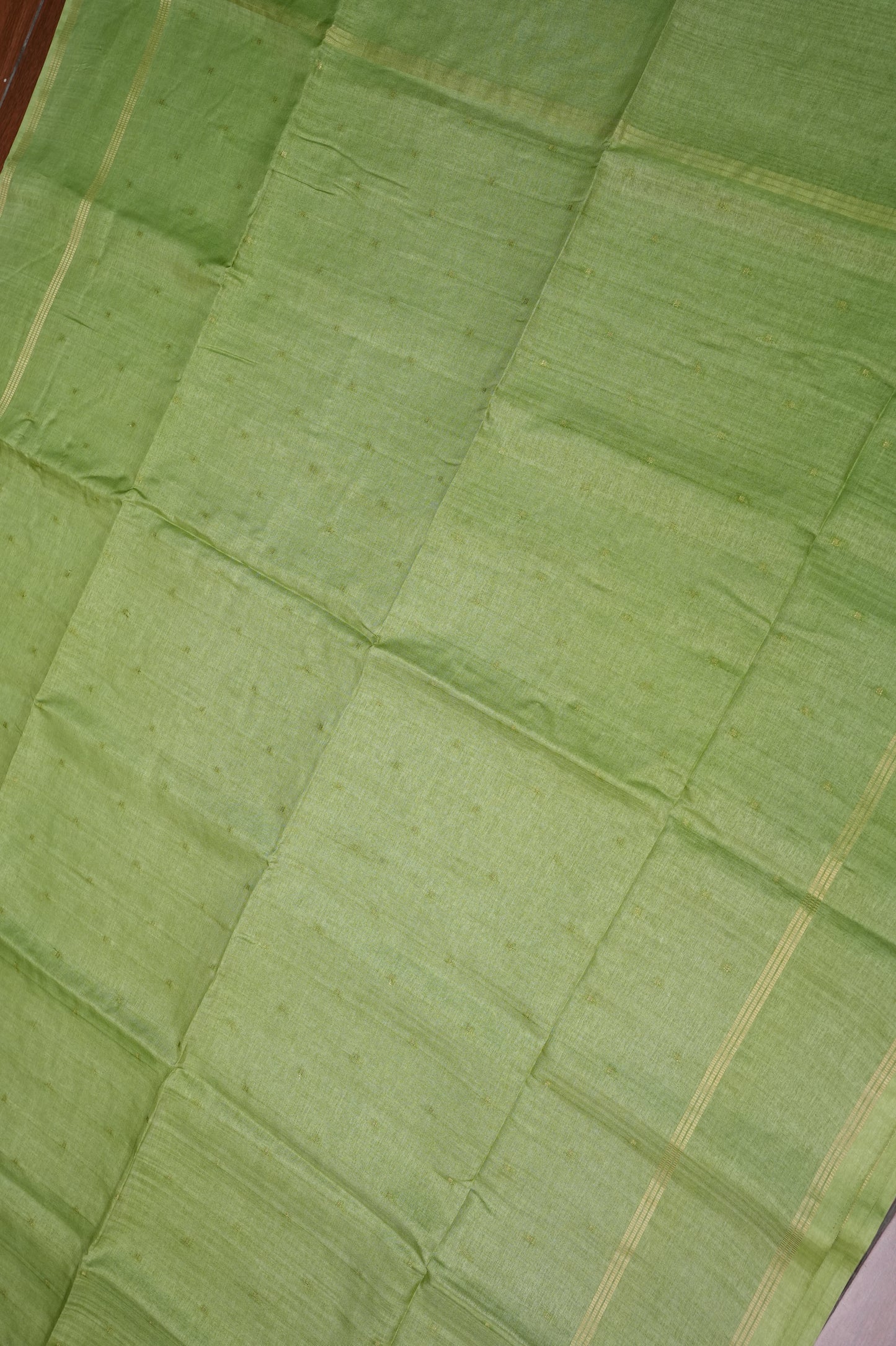 Semi Tussar Silk Saree with Traditional Gap Border – Pista Green