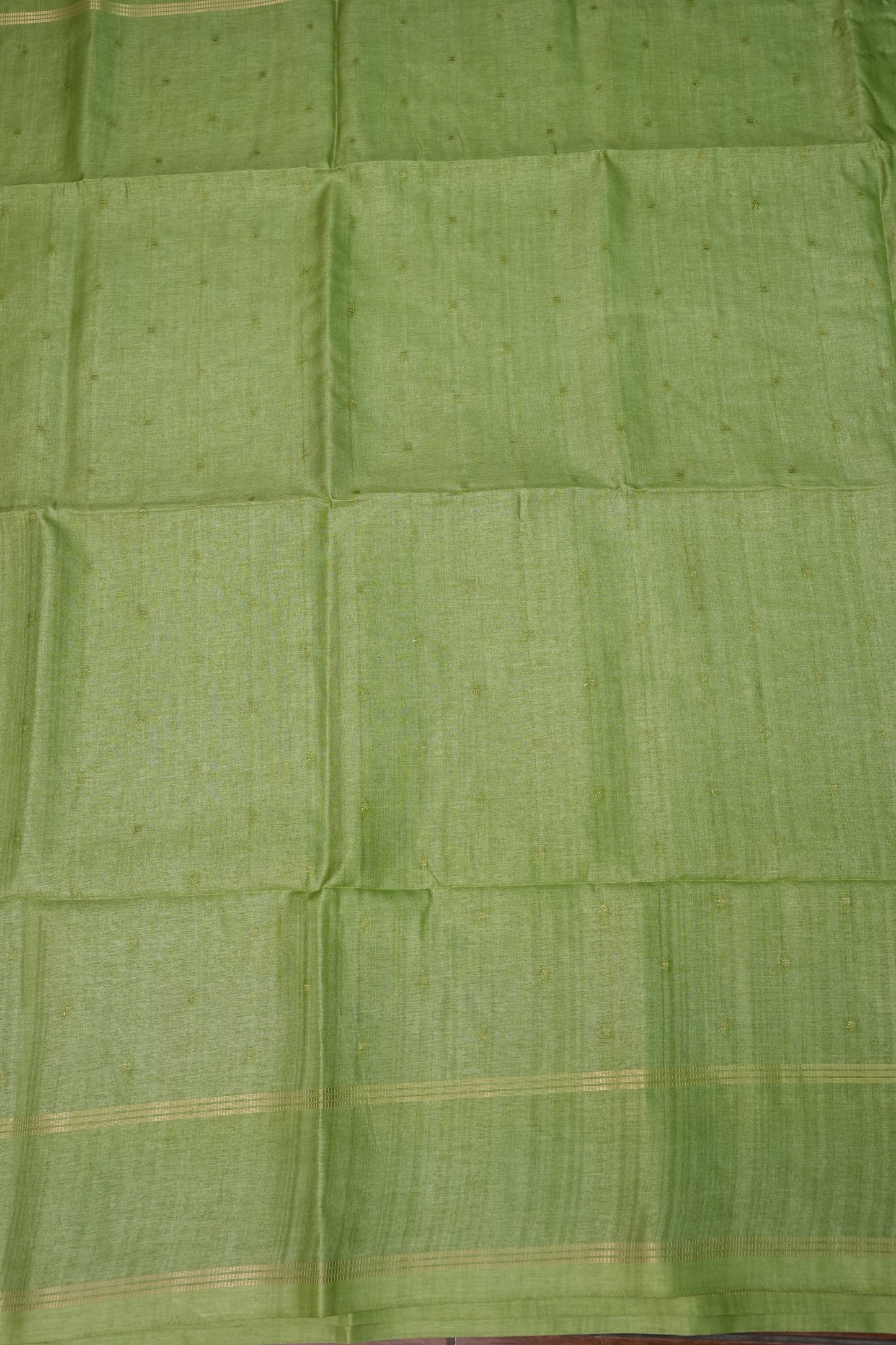 Semi Tussar Silk Saree with Traditional Gap Border – Pista Green