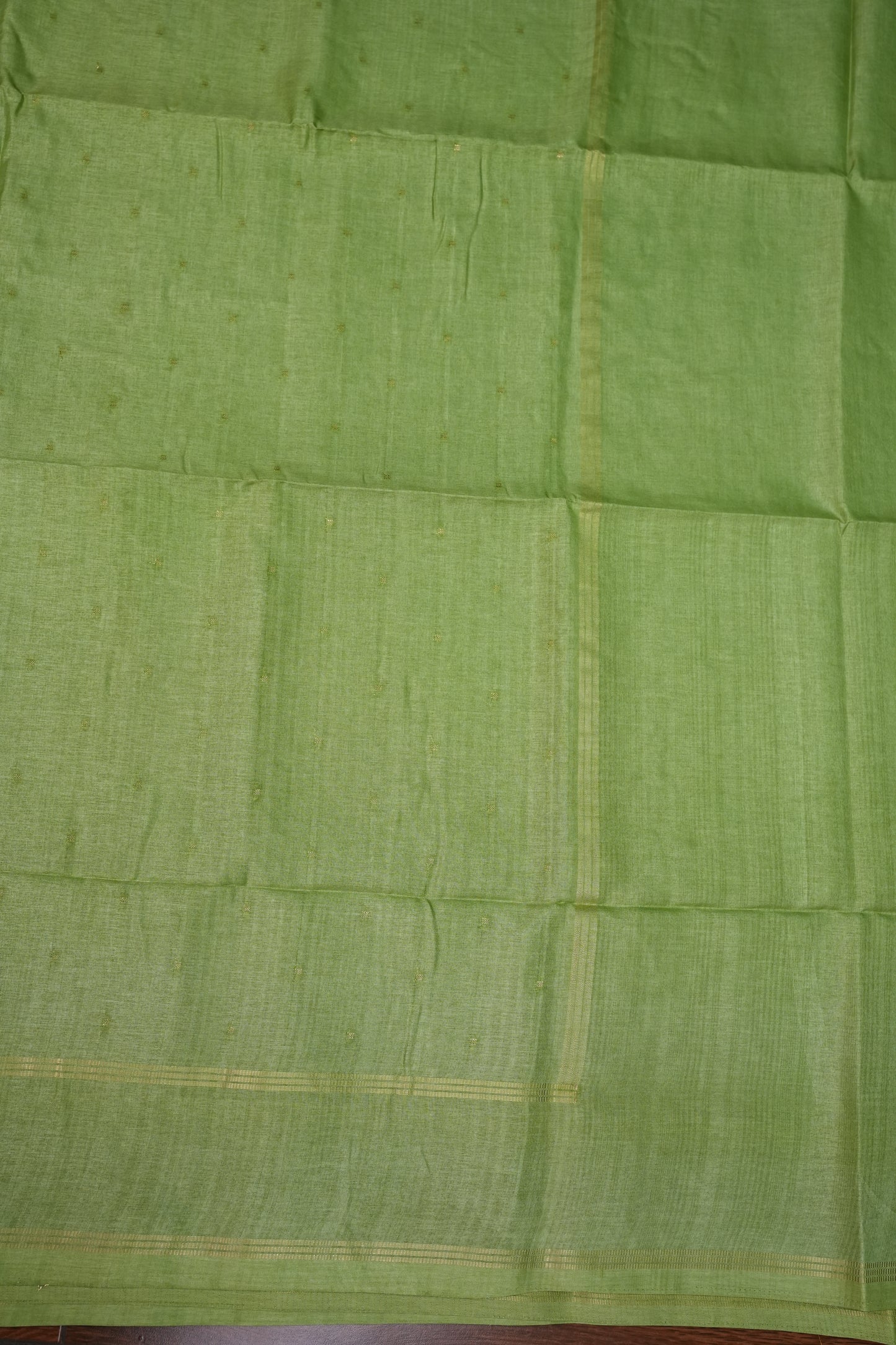 Semi Tussar Silk Saree with Traditional Gap Border – Pista Green