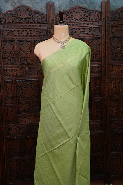Semi Tussar Silk Saree with Traditional Gap Border – Pista Green