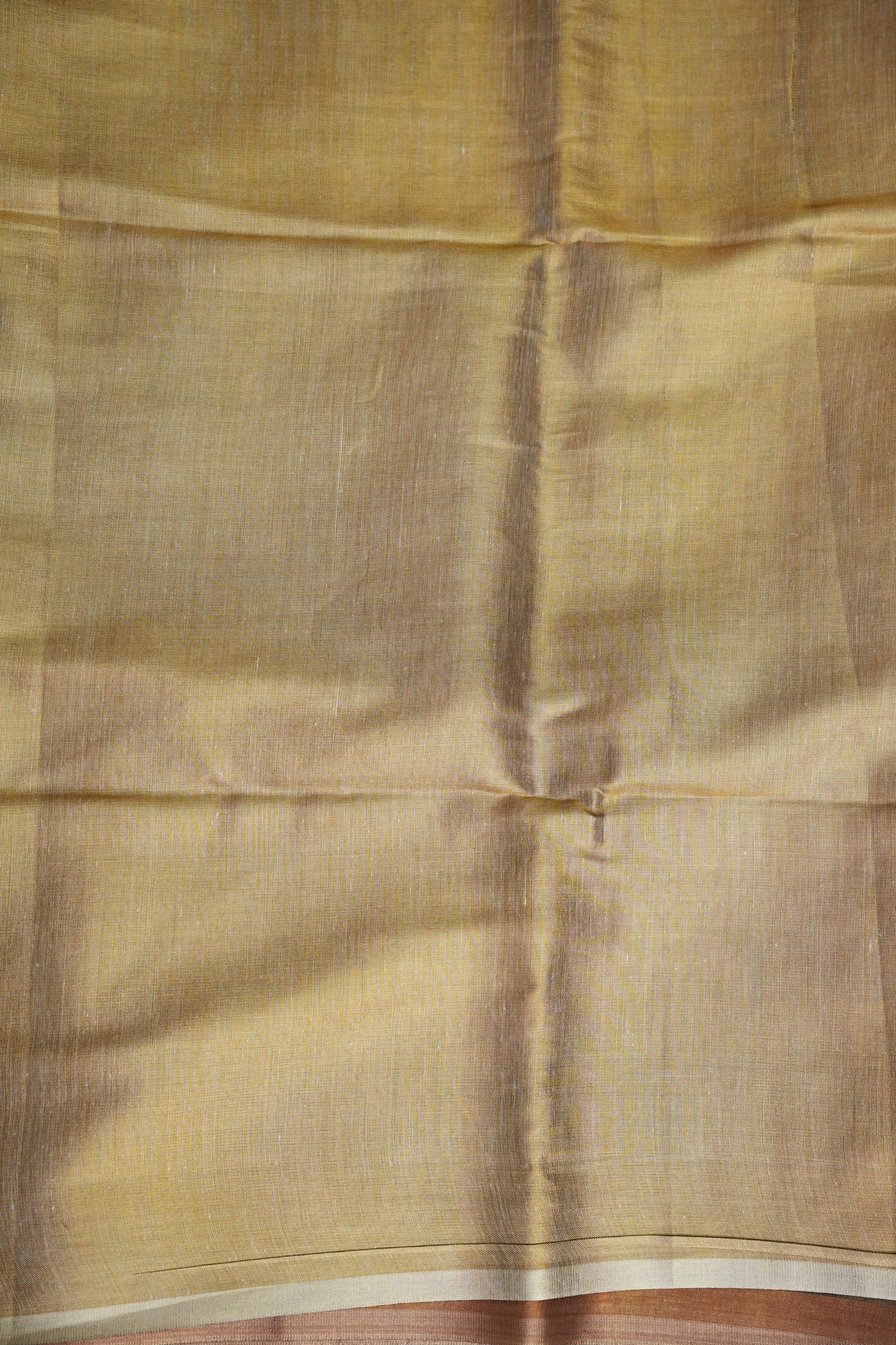 Digital Printed Tissue Raw Silk Saree with Enchanted Lotus Garden