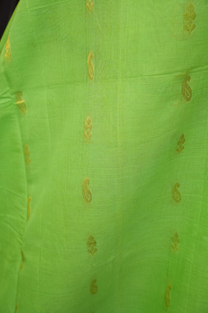 Gadwal Cotton Saree - Parrot Green & Orange