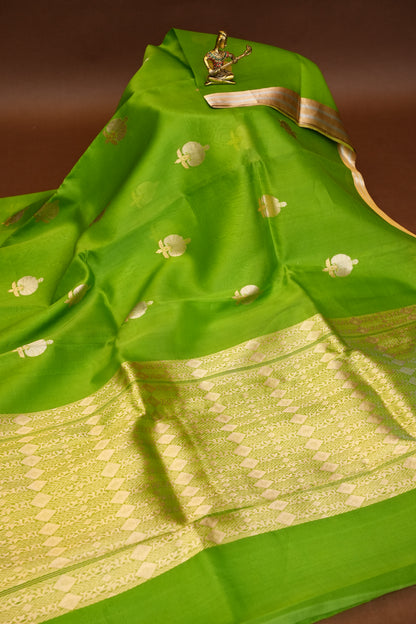 Pure Banarasi Organza(Kora) Silk Handloom Saree with Gold Zari Buttas & Border – Parrot Green | Silk Mark Certified