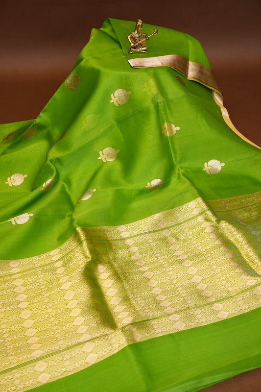 Pure Banarasi Organza(Kora) Silk Handloom Saree with Gold Zari Buttas & Border – Parrot Green | Silk Mark Certified