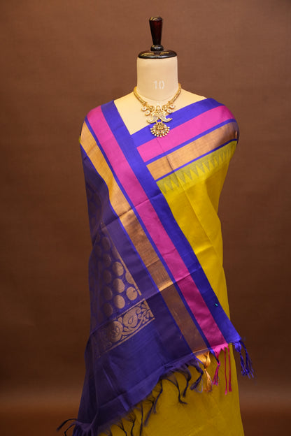 Pure Kuppadam Korvai Pattu Saree-Parrot Green and Royal Blue