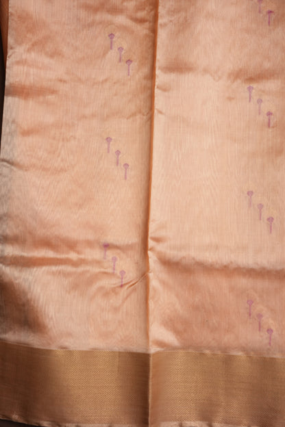 Pure Chanderi Silk Saree with Zari Buttas & Tissue Border - Cream