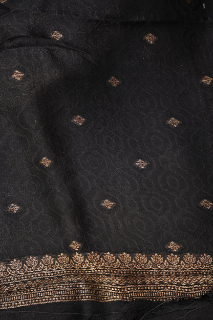 Tussar Banarasi Raw Silk Saree with Handloom Peacock Border – Classic Black