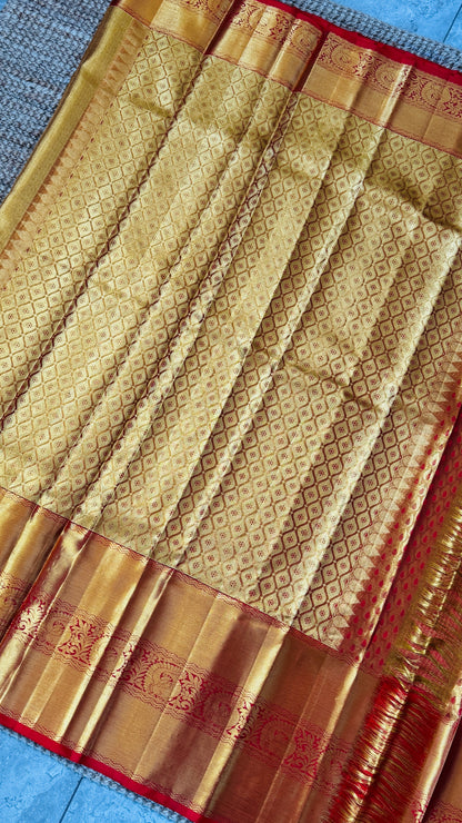 Gold & Red Pure Handloom Tissue Kanchipuram Silk Saree | Silk Mark Certified