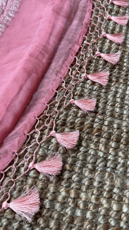 Pure Khaddi Chiffon Banarasi Silk Saree - Pink