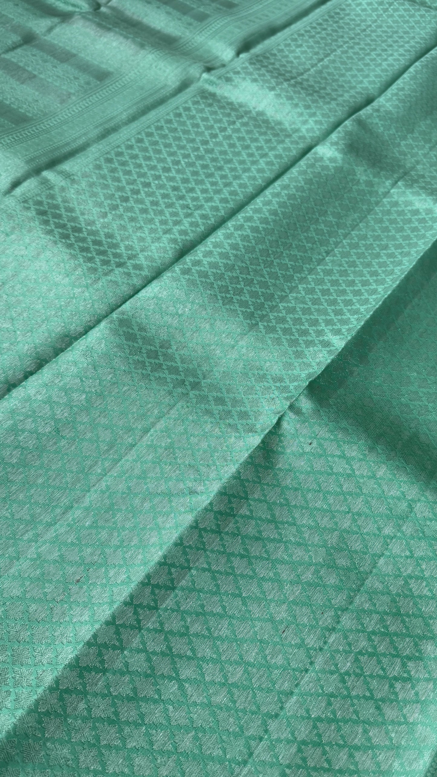 Mint Green & Sea Green Pure Kanchipuram Silk Saree | Silk Mark Certified