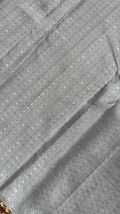 Pure Kanchivaram Silk Saree – Silver Grey