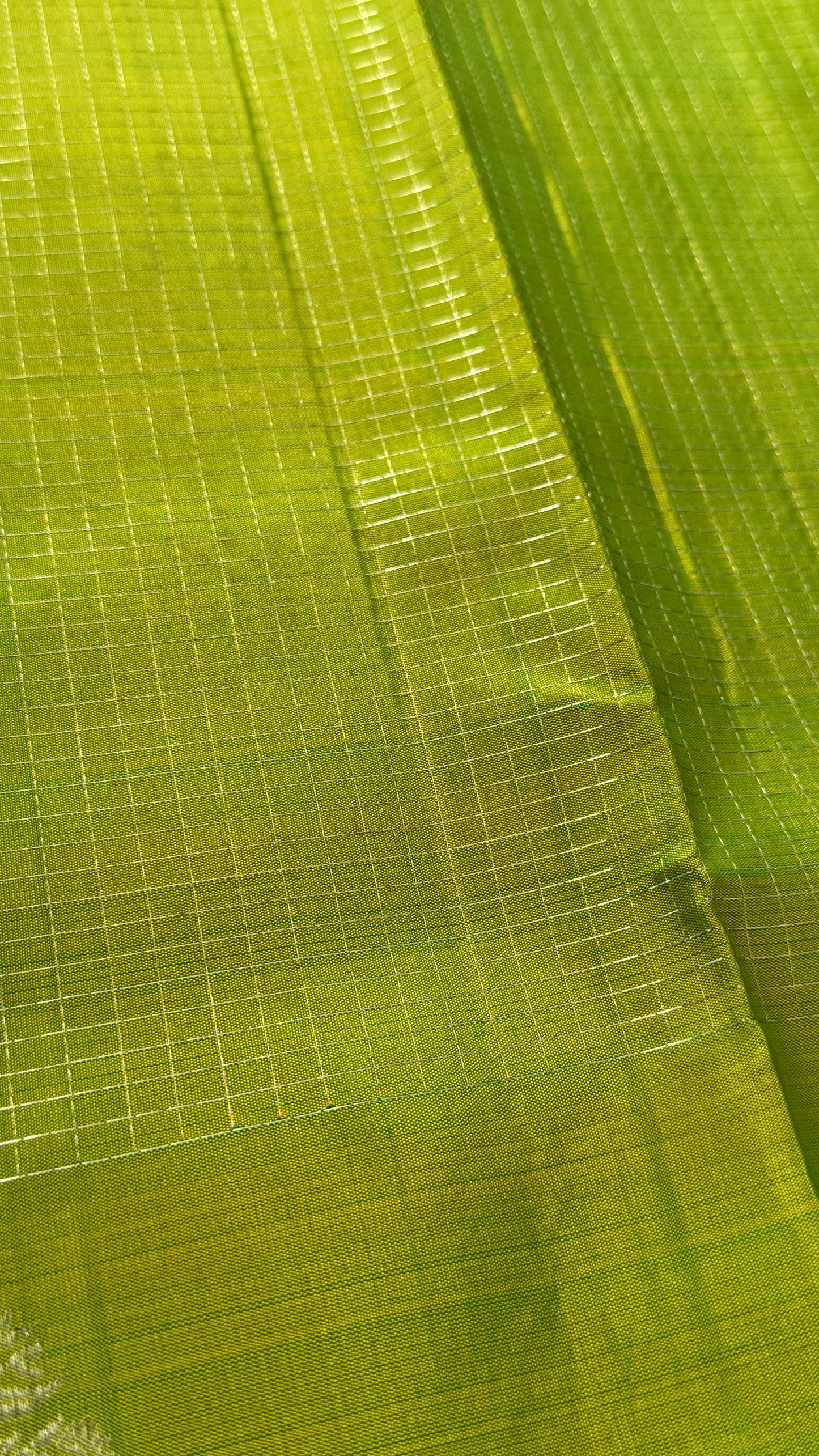 Green Pure Kanchipuram Silk Saree with Contrast Rama Blue Border | Silk Mark Certified