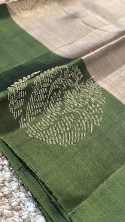 Pure Handloom Soft Silk Saree – Champagne with Olive Green