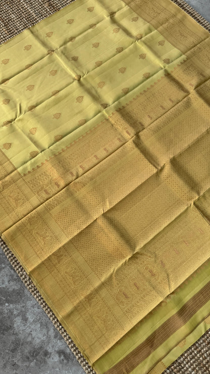 Champagne Pure Kanchipuram Silk Saree | Silk Mark Certified